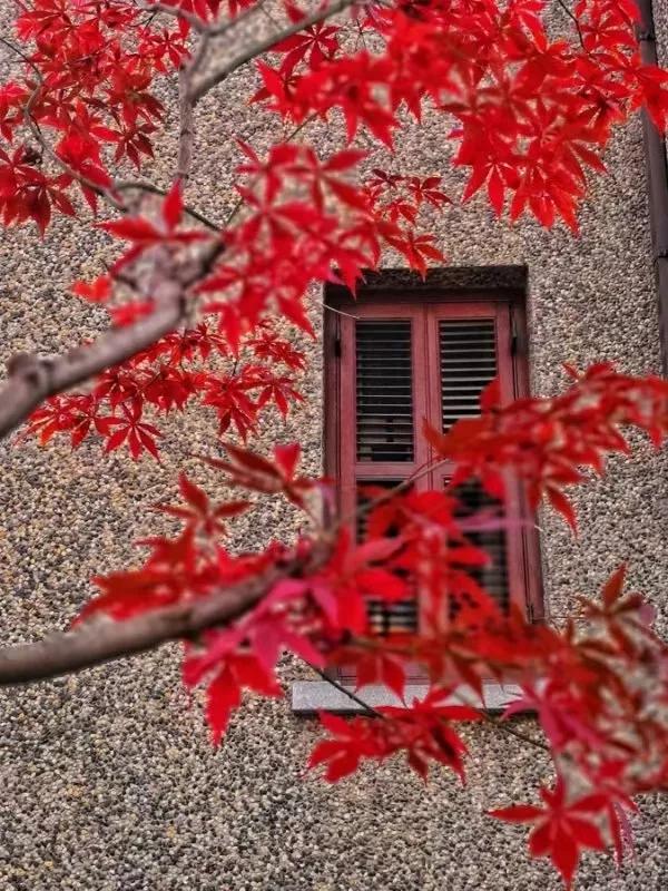 如果給你一次重來的機會,還會網上買床嗎? 如果給你一次重來的機會,還會網上買床嗎?