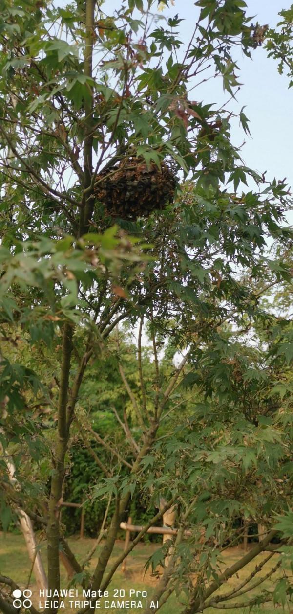 減肥第二十三天 岔氣扛不住 減肥第二十三天 岔氣扛不住