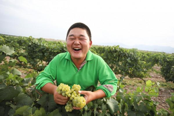 年輕人的新潮流：回老家創業