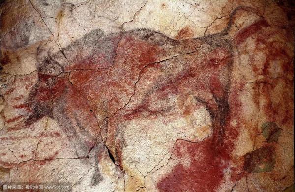 聊聊人類的好朋友——牛