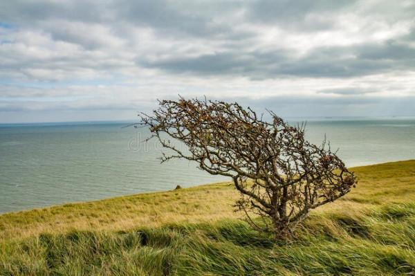 颳風天釣不到魚?老釣友為你解密,讓你無風不歡 颳風天釣不到魚?老釣友為你解密,讓你無風不歡