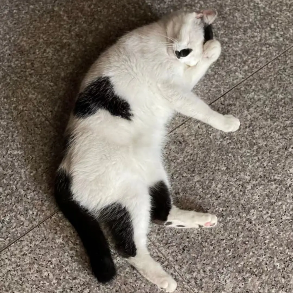 秋天的第一波兒狗糧,受著吧你 秋天的第一波兒狗糧,受著吧你