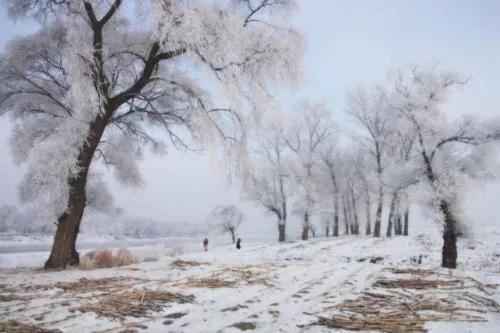 《進入冬至天漸寒》2021.12.22