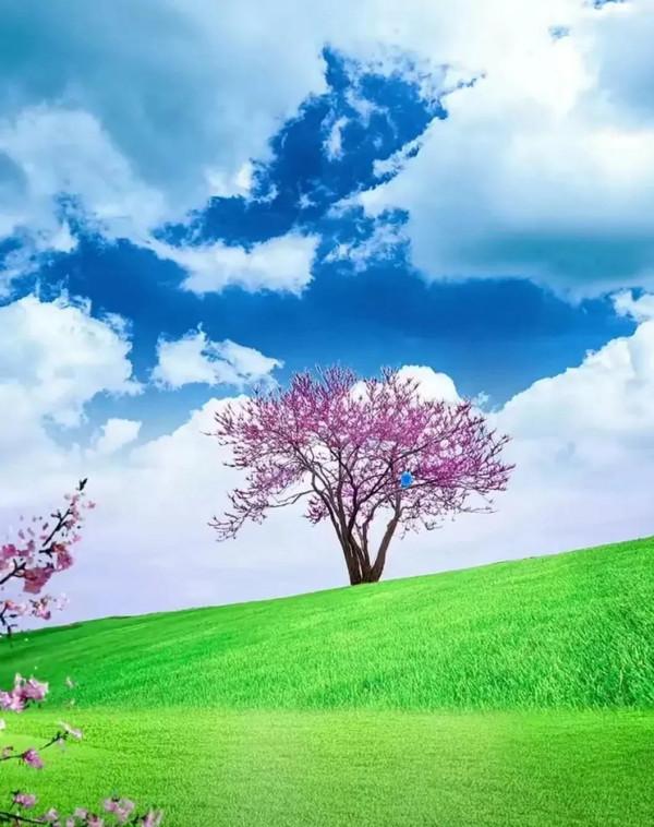 二十句驚為天人的詩詞，太美了，每一次讀都有不一樣的人生感悟