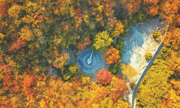 漫遊皖美秋色｜閱盡秋色，美在安徽