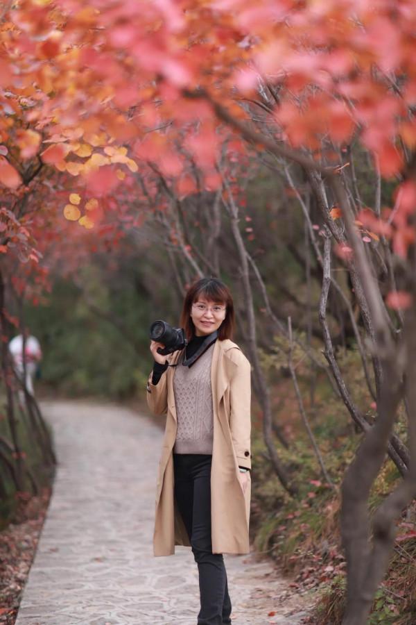 賞紅葉，不能早，也不能晚，時間一定要恰到好處