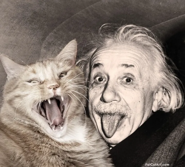 懷抱橘貓的蒙娜麗莎,微笑都變甜了 懷抱橘貓的蒙娜麗莎,微笑都變甜了