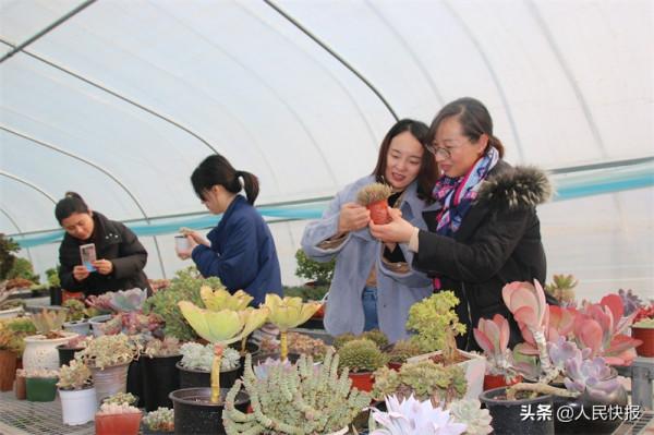 “多肉王子”宋凱的幸福生活