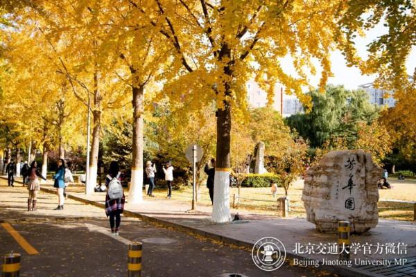 中外院士擔任評委!中國35位學者入選這份重磅名單,全員35歲以下! 中外院士擔任評委!中國35位學者入選這份重磅名單,全員35歲以下!