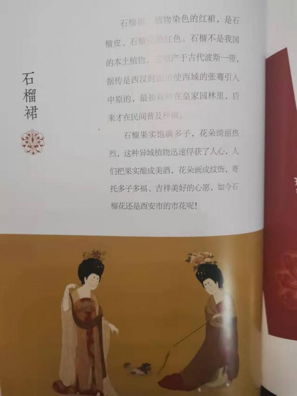 不能出去旅遊？帶孩子在家看這本書，跟旅遊一樣既享受又漲知識