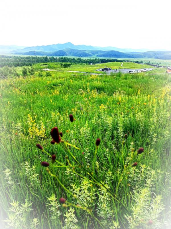 扎魯特山地草原,真3D草原 扎魯特山地草原,真3D草原