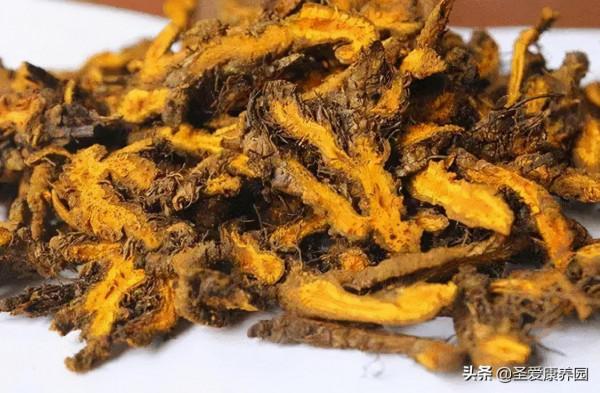 脾胃虛不虛？虛到什麼程度？怎麼補？全在這裡，快收藏起來