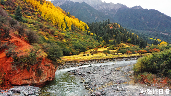 秋染祁連山，馬蹄寺景區五彩斑斕美不勝收