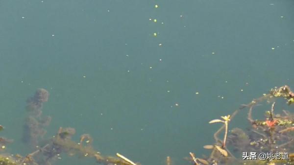 方向:冬季人找魚去哪兒找、有什麼規律,冬釣實用技能(圖文版) 方向:冬季人找魚去哪兒找、有什麼規律,冬釣實用技能(圖文版)