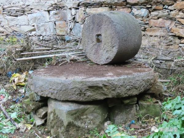 「圖遊徽州123」溫塢蟲皮墶 「圖遊徽州123」溫塢蟲皮墶