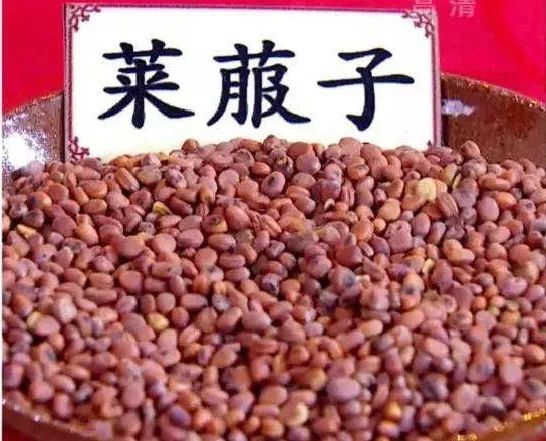 這些被你丟掉的果蔬籽是寶貝！清熱利水、理氣消食、美容養顏&hellip;&hellip;