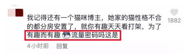 “為滿足粉絲,我用臭屁彈把貓燻死了” “為滿足粉絲,我用臭屁彈把貓燻死了”