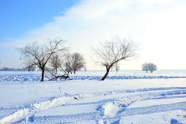 春夏秋冬的身體養生，你學到了嗎？