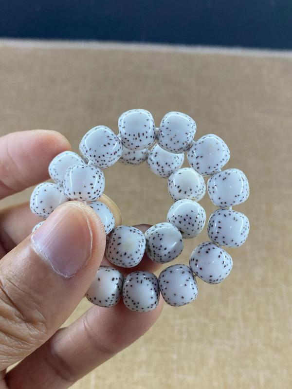 星月菩提哪一種比較好? 星月菩提哪一種比較好?