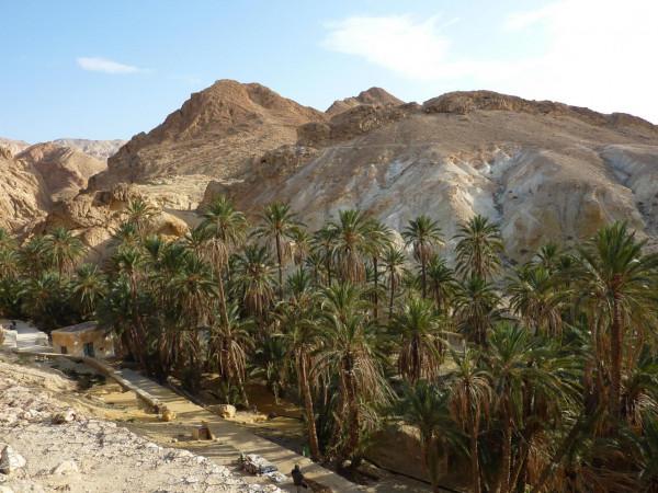 「突尼西亞2014」託澤尓（一）&mdash;&mdash;沙漠中的綠寶石