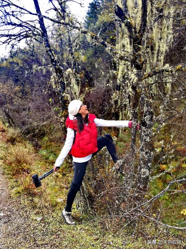 西行藏區9 熱情的甲居藏寨 一言難盡的黨嶺旅遊 西行藏區9 熱情的甲居藏寨 一言難盡的黨嶺旅遊