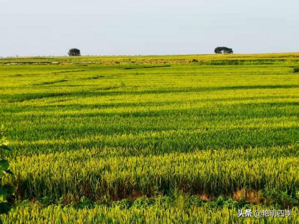 從東極到北極,走G331穿越沿途美景無數(東北邊境行之十二) 從東極到北極,走G331穿越沿途美景無數(東北邊境行之十二)