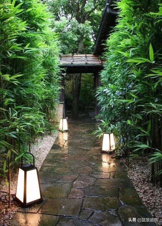 家有竹園，這才是極具風雅之事