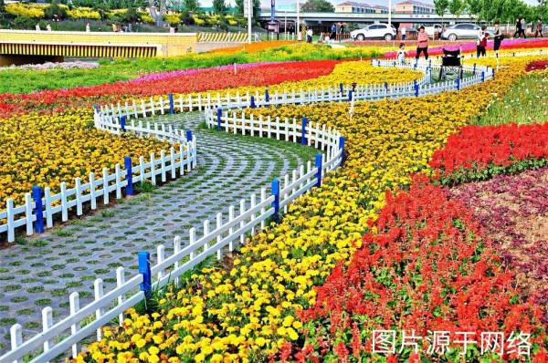 家門口的風景——十里花廊 家門口的風景——十里花廊