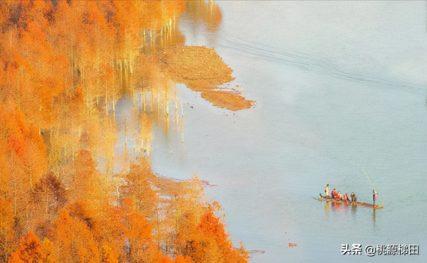 這幾個愈秋愈美的小眾旅行地，錯過只能再等一年