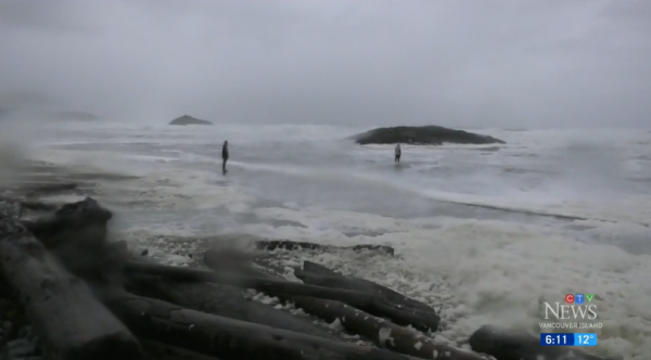 加拿大109個集裝箱落海 衣服鞋子傢俱全泡水 華人老闆哭暈