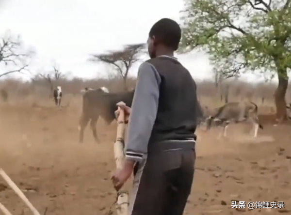 真實故事:非洲14歲窮苦男孩,8年前被父母拋棄,做苦工撫養2個弟弟