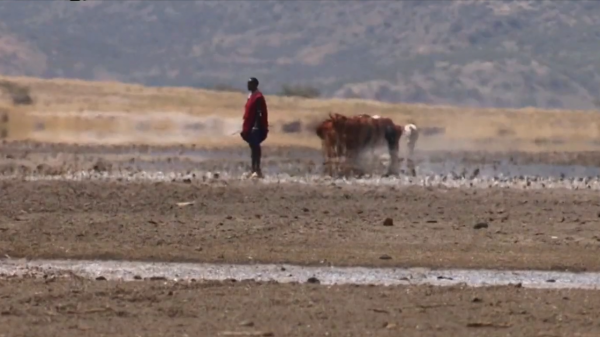 非洲馬賽人的真實生活，旱季的每一天都是在尋找水源