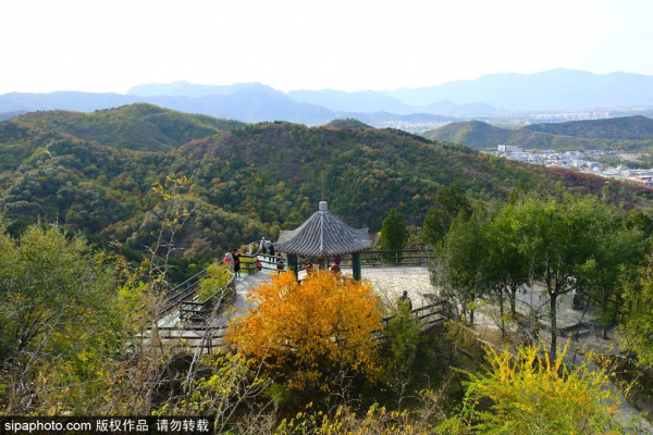部分免費！北京賞秋“價效比”最高選擇都在這兒了！