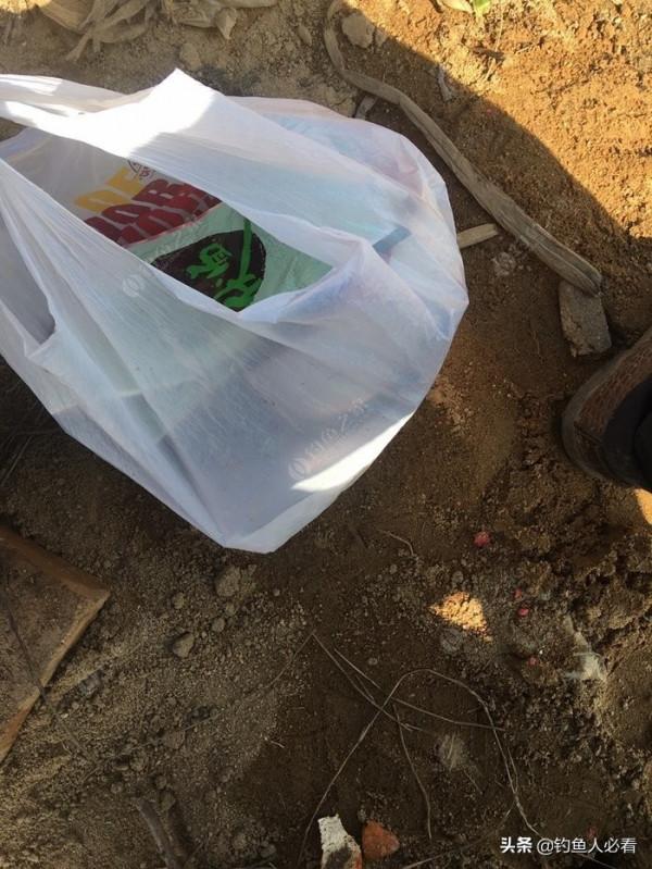 再釣鰱鱅，遇見小雜魚搶窩子，怎麼辦？