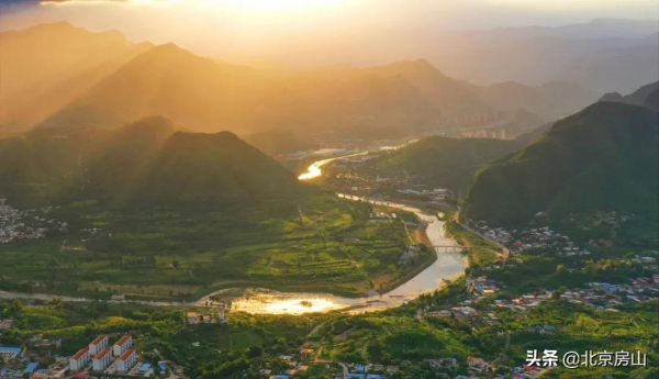 喜迎冬奧慶新春！美麗天鵝現身房山大石河！