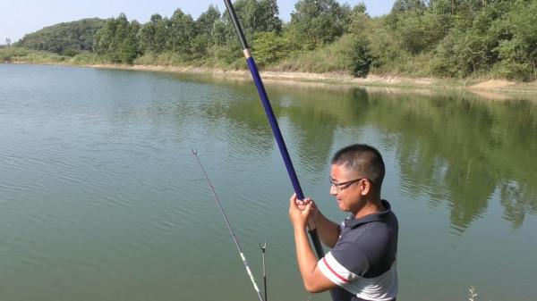 適合新手使用魚竿盤點，好用價效比高，20斤無壓力