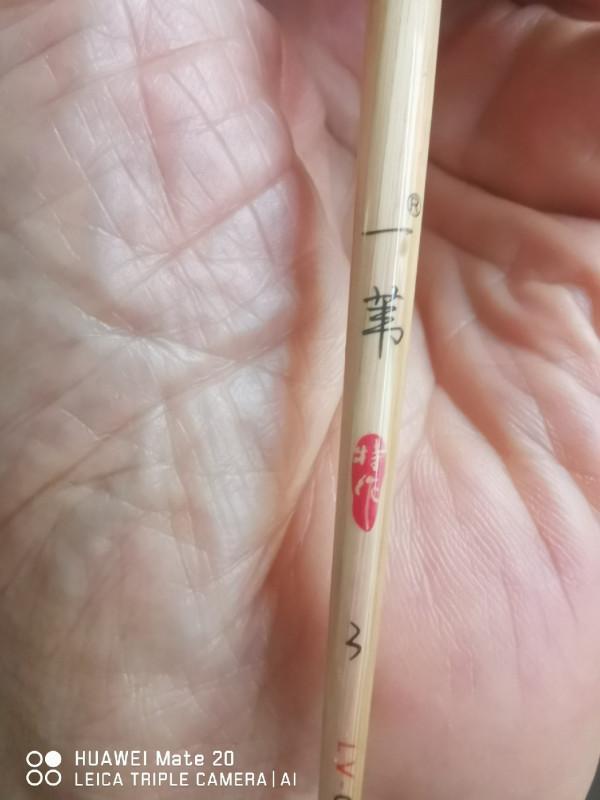 五個小時半碗淚水感動了水裡的精靈