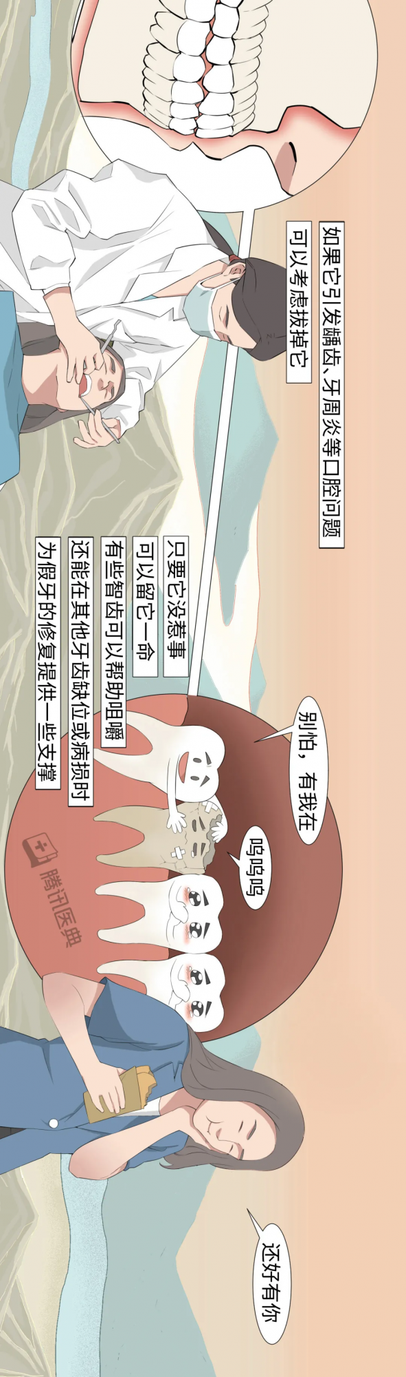 被你嫌棄的智齒、闌尾，其實在默默保護你......