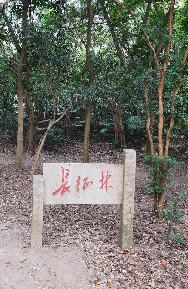 戶外｜從石巖湖溼地公園到羊台山