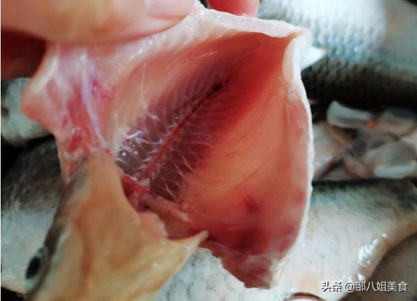 給魚去腥，別隻會用料酒！去除魚身上4個地方，咋做魚都香噴噴​