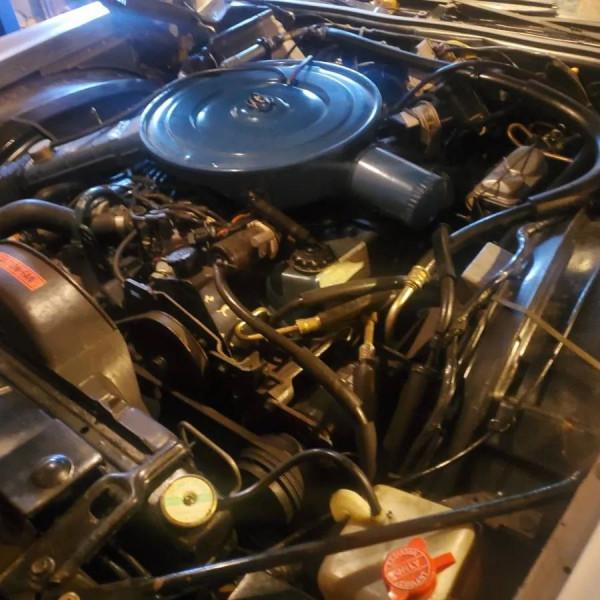 買了新車，不開就是玩！1976 年福特雷鳥僅行駛3&comma;200英里