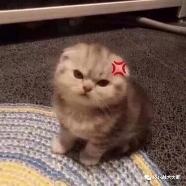 萬國覺醒丨無情哈拉少-哈拉爾三世（下）