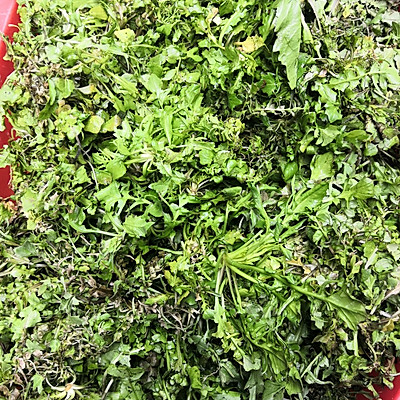 炸春捲這樣吃，換個口味換種心情