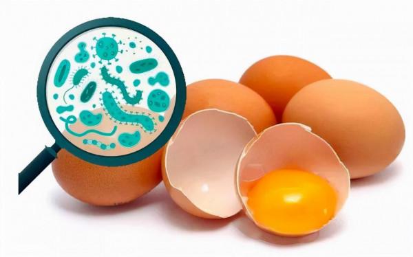 顯微鏡下，它們含有上萬條寄生蟲，大家都吃過，看完還敢吃不？