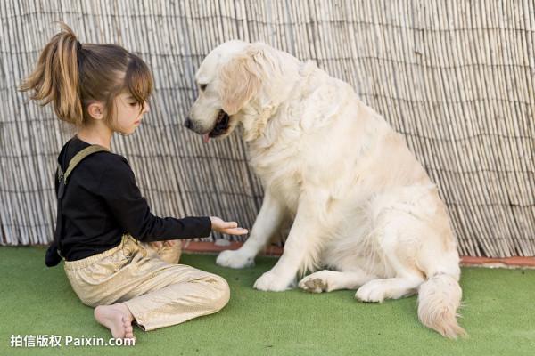 人類幼崽與貓狗能同時養嗎？