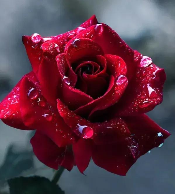 你的眼睛是一首美麗的詩