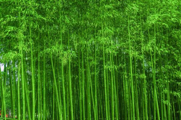 這個東西很關鍵，“圈中開合”，深入理解一下