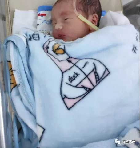 稀奇！緬甸若開邦一名孕婦誕下三胞胎，父母相擁喜極而泣