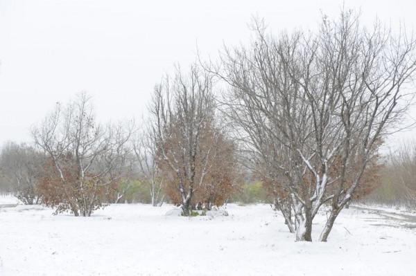 讓人直呼“哇噻”,房山這兩地的雪景大片,你一定得看看 讓人直呼“哇噻”,房山這兩地的雪景大片,你一定得看看