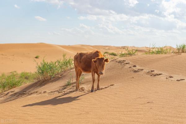 國慶不要去人擠人的地方了,推薦幾個國內地廣人稀的旅行城市 國慶不要去人擠人的地方了,推薦幾個國內地廣人稀的旅行城市